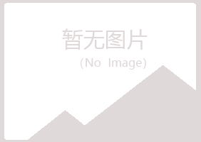 银川西夏岑迷化学有限公司